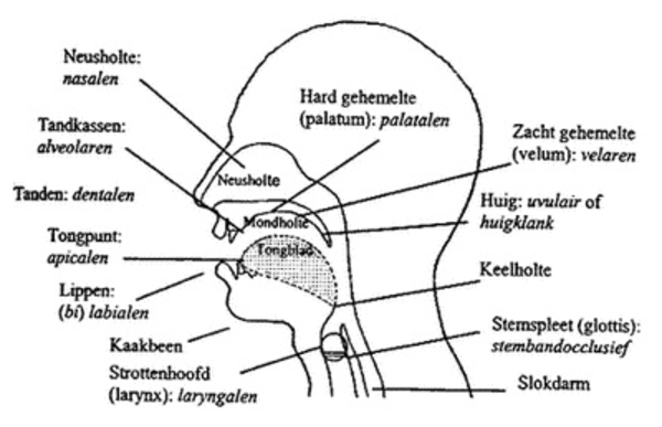 Afbeelding R-uitspraak