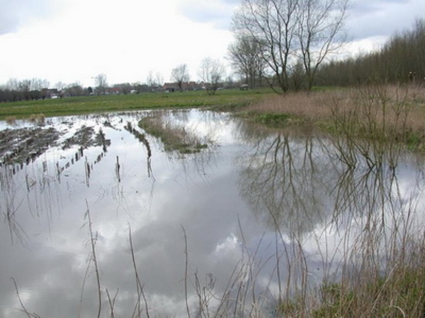 Afbeelding wateroverlast