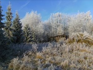 BILD0306
