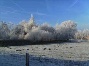 BILD0307