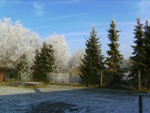 BILD0308