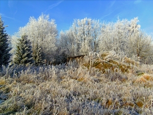 BILD0310_edited