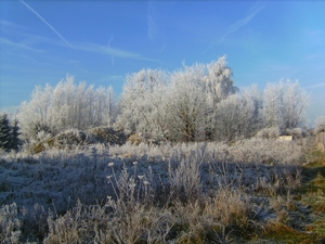 BILD0311