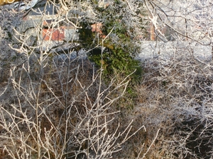 BILD0314