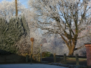 BILD0315