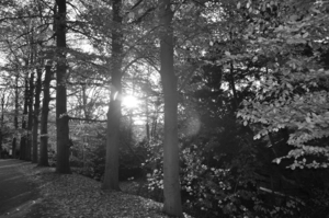 Herfstzon