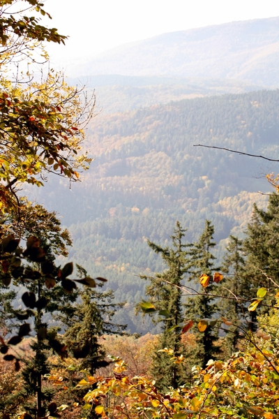 elzas oktober 2008 080