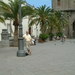 Afbeelding 005