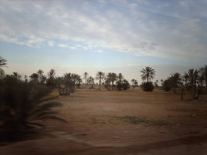 1 Djerba_platte land_IMAG0341