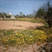1 Djerba_platte land_IMAG0358