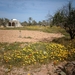 1 Djerba_platte land_IMAG0358