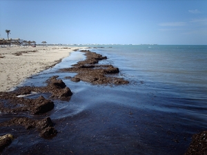 1 Djerba_strand_IMAG0365