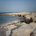 1 Djerba__strand_IMAG0105