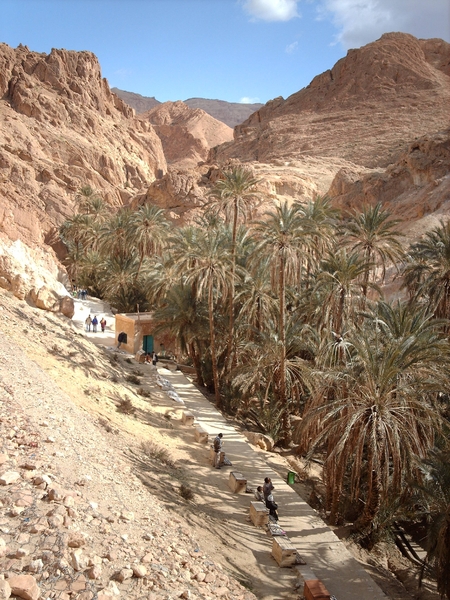 2d WO2_Chebika_IMAG0187