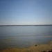 5d Monastir_omgeving_flamingos_IMAG0262