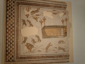 6a  El Djem_museum_mozaiek_IMAG0311