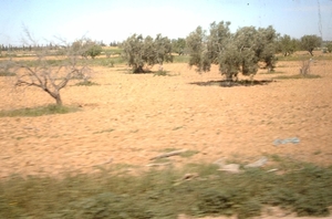 6a  El Djem_omgeving_IMAG0316