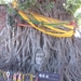 2b_Ayutthaya_Boeddha_boom 2