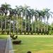 2c_Rose Garden_park