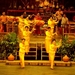 2c_Rose Garden_show