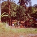 6b_Chiang Mai _omgeving