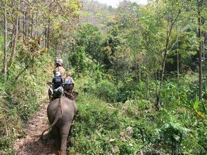 6_Chiang Mai_olifantensafari 2