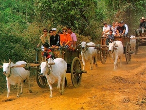 6_Chiang Mai_tour met ossenkarren