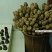 7_Chiang Rai_omg_gouden driehoek_opiummuseum 2