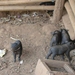 7_Chiang Rai_omg_Karen-dorp 6