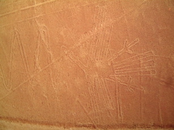3NA IN Nasca-colibri