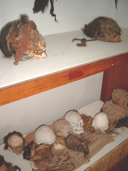 3NA S474 Nasca Museum Hoodshoofden