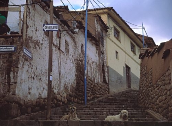 5CU IN Cuzco 6