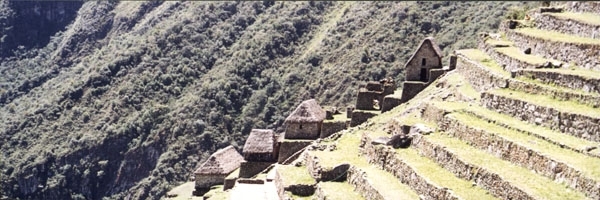 7MP IN machu Pichu 5