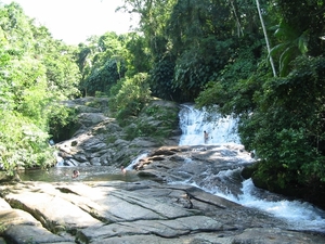 4 Paraty_omgeving jungle