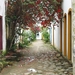 4 Paraty_straatje