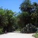 5 Rio de Janeiro_botanische tuinen 2