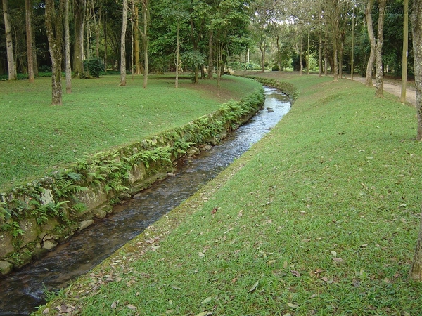 5 Rio de Janeiro_botanische tuinen