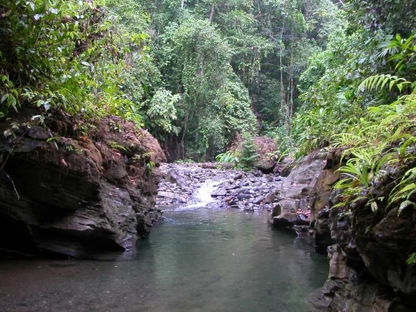 5 Rio de Janeiro_Tijuca nationaal park 3