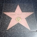 1a  Los Angeles_Hollywood_De Walk of fame_IMAG0995