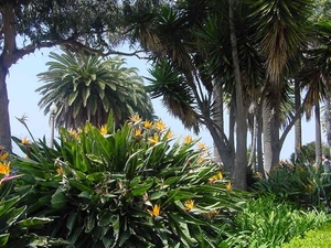 1a  Los Angeles_Santa Monica_dijkpark met bloemen