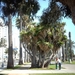 1a  Los Angeles_Santa Monica_dijkpark_IMAG1009