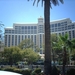 2 Las Vegas_de strip _Hotel casino Bellagio 4