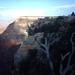 3a Grand Canyon NP_South Rim walk_langs de Canyon_IMAG1253