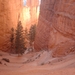 4b Bryce Canyon_afdaling in de canyon_IMAG1623