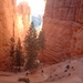 4b Bryce Canyon_afdaling in de canyon_IMAG1624