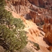 4b Bryce Canyon_afdaling in de canyon_IMAG1637