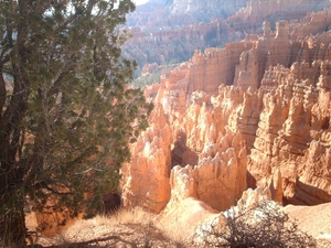 4b Bryce Canyon_IMAG1613