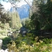 5b Yosemite NP_Rotsen in Water