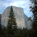 5b Yosemite_El Capitan_IMAG1729