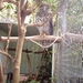 1a Sydney  _omg_dierentuin IMAG2449